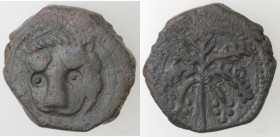 Messina. Guglielmo II. 1166-1189. Trifollaro. Ae.