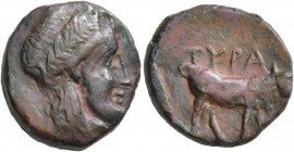 SKYTHIA. Tyra . Circa 360-350 BC. Bronze (18 mm, 6.21 g, 9 h). Laureate head of Tyras to right. Rev. TYPA Bull standing right. Anokhin 2-3. SNG BM Bla...