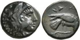 MACEDON. Pydna . Circa 381-369 BC. Dichalkon (Bronze, 17 mm, 4.26 g, 10 h). Head of Herakles to right, wearing lion skin headdress. Rev. ΠYΔNA[IΩN] Ea...