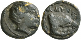 KINGS OF MACEDON. Amyntas II, 395/4-393 BC. Chalkous (Bronze, 12 mm, 1.97 g, 2 h). Male head to right. Rev. AMYNTA Forepart of wolf right. SNG Alpha B...