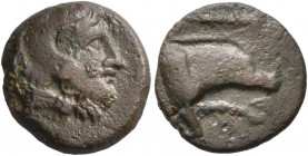 KINGS OF MACEDON. Amyntas III, 393-370/69 BC. Chalkous (Copper, 12 mm, 1.99 g, 8 h). Head of Herakles to the right, wearing lion skin headress. Rev. [...