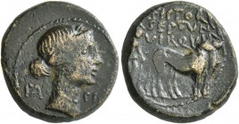 MACEDON. Pella . Augustus, 27 BC-AD 14. Assarion (Bronze, 19 mm, 5.92 g, 1 h), M. Fictorius and M. Septimius, duoviri. PA - CI Head of Pax right. Rev....