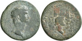 CILICIA. Anazarbus . Germanicus, Caesar, 15 BC-AD 19. Tetrassarion (Bronze, 29 mm, 15.71 g, 12 h), CY 67 = 48/49. ΓЄP[MANIKOC KAICAP] Bare head of Ger...