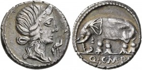 Q. Caecilius Metellus Pius, 81 BC. Denarius (Silver, 17 mm, 3.72 g, 6 h), Rome. Diademed head of Pietas to right; before, stork. Rev. Q C M P I Elepha...