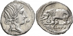 Q. Caecilius Metellus Pius, 81 BC. Denarius (Silver, 19 mm, 3.58 g, 9 h), Rome. Diademed head of Pietas to right; before, stork. Rev. Q C M P I Elepha...