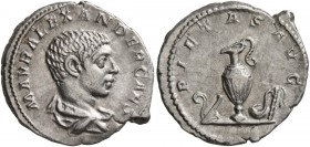Severus Alexander, as Caesar, 222. Denarius (Silver, 20 mm, 2.88 g, 7 h), Rome. M AVR ALEXANDER CAES Bare-headed and draped bust of Severus Alexander ...
