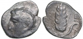 Lucania - Metapontion AR Diobol - (circa 325-275 BC)
0.84 g. 11mm. F/F Head of Apollo Karneios left./ Barley ear with leaf to right.