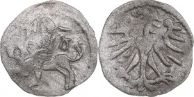 Lithuania Denar ND - Alexander Jagiellon (1492-1506)
0.26 g. VF/XF