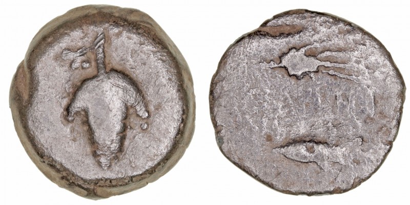 Monedas de la Hispania Antigua
Acinipo, Ronda la Vieja (Málaga)
Semis. AE. (si...