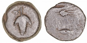 Monedas de la Hispania Antigua
Acinipo, Ronda la Vieja (Málaga)
Semis. AE. (siglo I a.C.). A/Racimo de uvas. R/Dos espigas a der., entre ambos (ACIN...