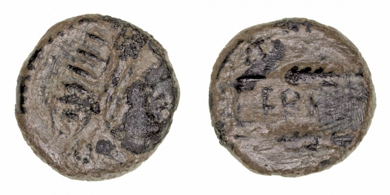Monedas de la Hispania Antigua
Cerit, Jerez
Semis. AE. (siglo I a.C.). A/Cabez...