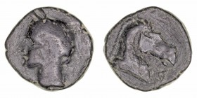 Monedas de la Hispania Antigua
Hispano Cartaginesas, Acuñaciones
Calco. AE. (entre 220-215 a.C.). A/Cabeza de Tanit a izq. R/Prótomo de caballo a de...