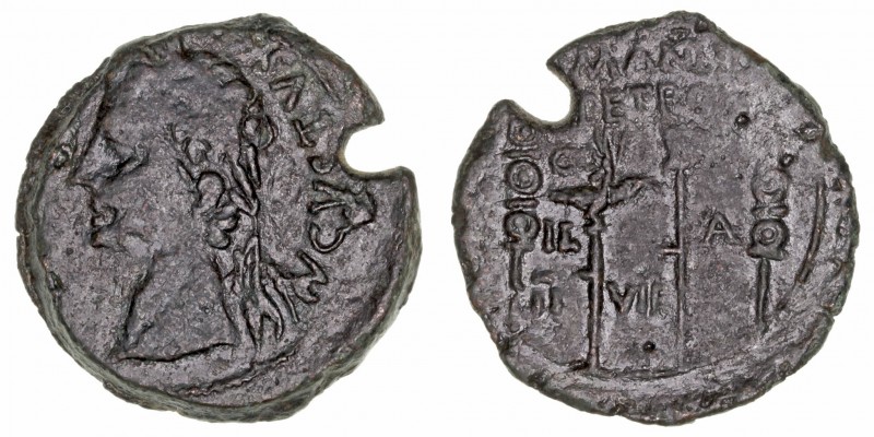 Monedas de la Hispania Antigua
Ilici, Elche
Semis. AE. (época de Augusto). A/C...