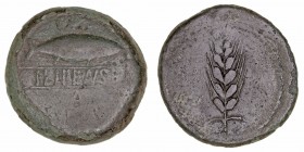 Monedas de la Hispania Antigua
Ilipense, Alcalá del Río (Sevilla)
As. AE. (siglo I a.C.). A/Sábalo a izq. encima creciente y abajo A, entre ambos le...