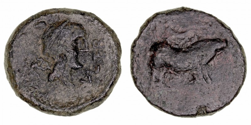 Monedas de la Hispania Antigua
Ilipula Halos, Zona de Carmo
As. AE. (siglo I a...