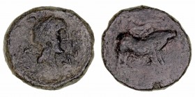 Monedas de la Hispania Antigua
Ilipula Halos, Zona de Carmo
As. AE. (siglo I a.C.). A/Cabeza de Mercurio a der., detrás cadudeo y delante VAL. TER. ...