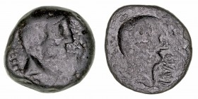 Monedas de la Hispania Antigua
Ilurco, Pinos Puente (Granada)
As. AE. (siglo I a.C.). A/Cabeza viril a der. R/Cabeza viril a der., delante ILVR(CON)...