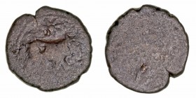 Monedas de la Hispania Antigua
Ituci, Tejada la Vieja (Sevilla)
Semis. AE. (siglo I a.C.). A/Toro a der., encima estrella. R/Espiga a izq., encima t...