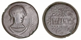 Monedas de la Hispania Antigua
Ulia, Montemayor (Córdoba)
As. AE. (mitad siglo I a.C.). A/Cabeza femenil a der., delante palma y debajo creciente. R...