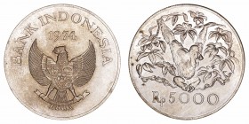 Monedas Extranjeras
Indonesia
5000 Rupias. AR. 1974. Orangután. 31.99g. KM.40. Suave pátina. EBC-.