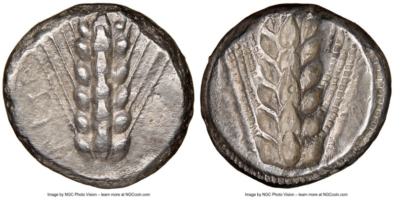 LUCANIA. Metapontum. Ca. 470-440 BC. AR stater (20mm, 7.25 gm, 12h). NGC Choice ...