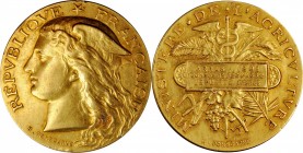 Third Republic to current (since 1870)

FRANCE. Arras Regional Agricultural Show Gold Award Medal, 1893. Paris Mint. CHOICE EXTREMELY FINE.

Diame...