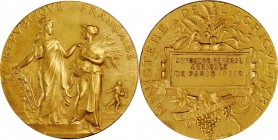 Third Republic to current (since 1870)

FRANCE. Paris Agricultural Show Gold Award Medal, 1910. Paris Mint. UNCIRCULATED Details. Damage.

Diamete...