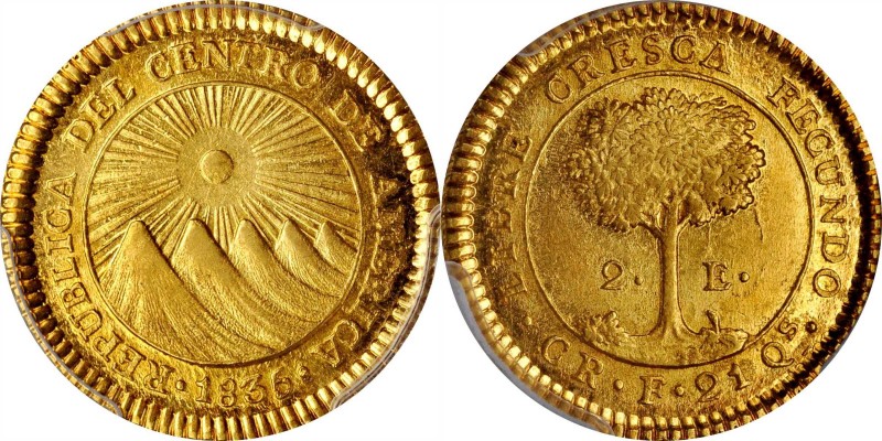 CENTRAL AMERICA

A Dazzling Representative

COSTA RICA. Central American Rep...