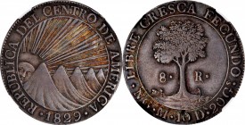 CENTRAL AMERICA

GUATEMALA. Central American Republic. 8 Reales, 1829-NG M. Nueva Guatemala Mint. NGC AU-53.

KM-4. Well struck for the issue and ...