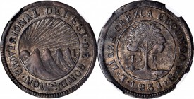 HONDURAS

HONDURAS. 4 Reales, 1851-T G. Tegucigalpa Mint. NGC AU-53.

KM-20a. Modeled after the preceding coinage of the Central American Republic...