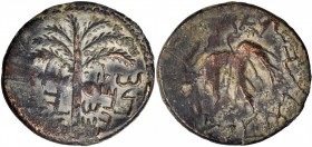 Bar Kochba Revolt, A.D. 132-135

JUDAEA. Bar Kochba Revolt, 132-135 C.E. AE 25mm, Jerusalem Mint, Year 1 (132/3 C.E.). NEARLY VERY FINE.

Mildenbe...