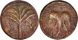Bar Kochba Revolt, A.D. 132-135

JUDAEA. Bar Kochba Revolt, 132-135 C.E. AE 24mm, Jerusalem Mint, Year 2 (133/4 C.E.). VERY FINE.

Meshorer-260a; ...
