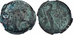 Ptolemy V Epiphanes, 205-180 B.C

PTOLEMAIC EGYPT. Ptolemy V Epiphanes, 205-180 B.C. AE 27mm (15.04 gms), Alexandreia Mint. NGC F, Strike: 4/5.

S...