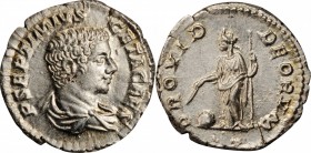 Geta as Caesar, A.D. 198-209

GETA AS CAESAR, A.D. 198-209. AR Denarius (3.22 gms), Rome Mint, A.D. 205-208. CHOICE ALMOST UNCIRCULATED.

RIC-51; ...
