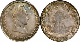 BOLIVIA

BOLIVIA. 8 Soles, 1842-PTS LR. Potosi Mint. NGC AU-53.

KM-103. Despite a minor flan flaw on the neck of Bolivar, this wholesome crown-si...