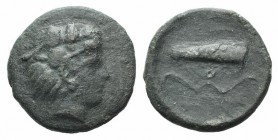 Sicily, Selinos, c. 415-409 BC. Æ Hemilitron (16mm, 3.15g, 11h). Head of Herakles r., wearing lion skin. R/ Bow and quiver. CNS I, 11; SNG ANS 716. Ra...