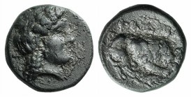 Mysia, Plakia, 4th century BC. Æ (11mm, 1.68g, 1h). Turreted head of Kybele r. R/ Lion standing r., devouring prey, on grain ear. SNG BnF 2378–82. Gre...