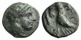 Mysia, Priapos. 1st century BC. Æ (10mm, 1.41g, 7h). Laureate head of Apollo r. R/ Crayfish r.; symbol below. SNG BnF 2403-4. Green patina, near VF