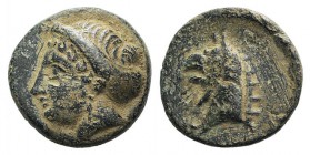 Ionia, Phokaia, c. 300 BC. Æ (12mm, 1.90g, 6h). Female head l. R/ Griffin head l. SNG Copenhagen 1031; SNG von Aulock 2135. Green patina, near VF
