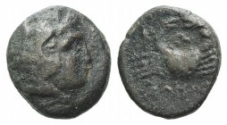 Islands of Caria, Kos, 4th century BC. Æ (10mm, 1.52g, 12h). Head of Herakles r., wearing lion skin. R/ Crab. Cf. SNG Keckman 290-2. Brown patina, Goo...