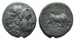 Seleukid Kings, Seleukos I (312-281 BC). Æ (14mm, 2.67g, 12h). Sardes, 282-1 BC. Winged head of Medusa r. R/ Bull butting r.; ΣI between back legs. SC...