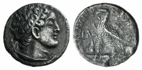 Ptolemaic Kings of Egypt, Ptolemy V (204-180). AR Tetradrachm (25mm, 12.97g, 12h). Kition, 184 BC. Diademed head of Ptolemy r., wearing aegis. R/ Eagl...