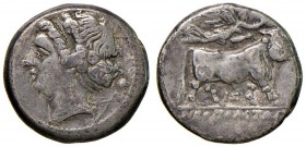 CAMPANIA Neapolis (340-241 a.C.) Didracma – Testa di ninfa a s. – R/ Toro andante a d. – cfr. SG 310 AG (g 7,14)
MB+