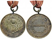 NAPOLI - Collegio Pontano di Napoli – Medaglia Premio - Medaglia 1905 – Bronzo portativa – 30,4 mm – 12,29 g – RR
FDC