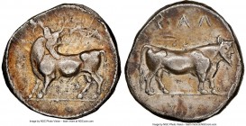 LUCANIA. Laus. Ca. 480-460 BC. AR stater (18mm, 7.80 gm, 3h). NGC Choice VF 5/5 - 3/5. ΛAS (retrograde), man-faced bull standing left, head reverted /...