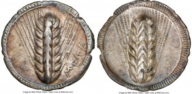 LUCANIA. Metapontum. Ca. 540-510 BC. AR stater (28mm, 7.28 gm, 12h). NGC XF 5/5 - 3/5. META, barley ear with eight grains; dotted border on raised rim...