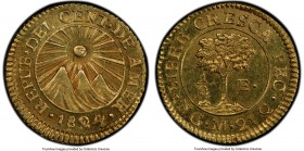 Central American Republic gold 1/2 Escudo 1824 NG-M MS64 PCGS, Nueva Guatemala mint, KM5. An expressive representative of the type conveying sharp min...