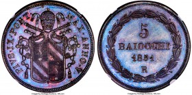 Papal States. Pius IX Proof 5 Baiocchi Anno V (1851)-R PR65 Brown NGC, Rome mint, KM1356. Spectacular mahogany tone over both sides transforms into a ...