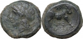 Greek Italy. Samnium, Southern Latium and Northern Campania, Cales. AE 21 mm. c. 265-240 BC. Head of Apollo left, laureate. / Man-headed bull right; a...