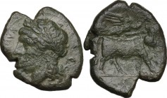 Samnium, Southern Latium and Northern Campania, Compulteria. AE20, (c. 265-240 BC). 'kumpulterum' (in Oscian) Laureate head of Apollo to left. / Man-h...